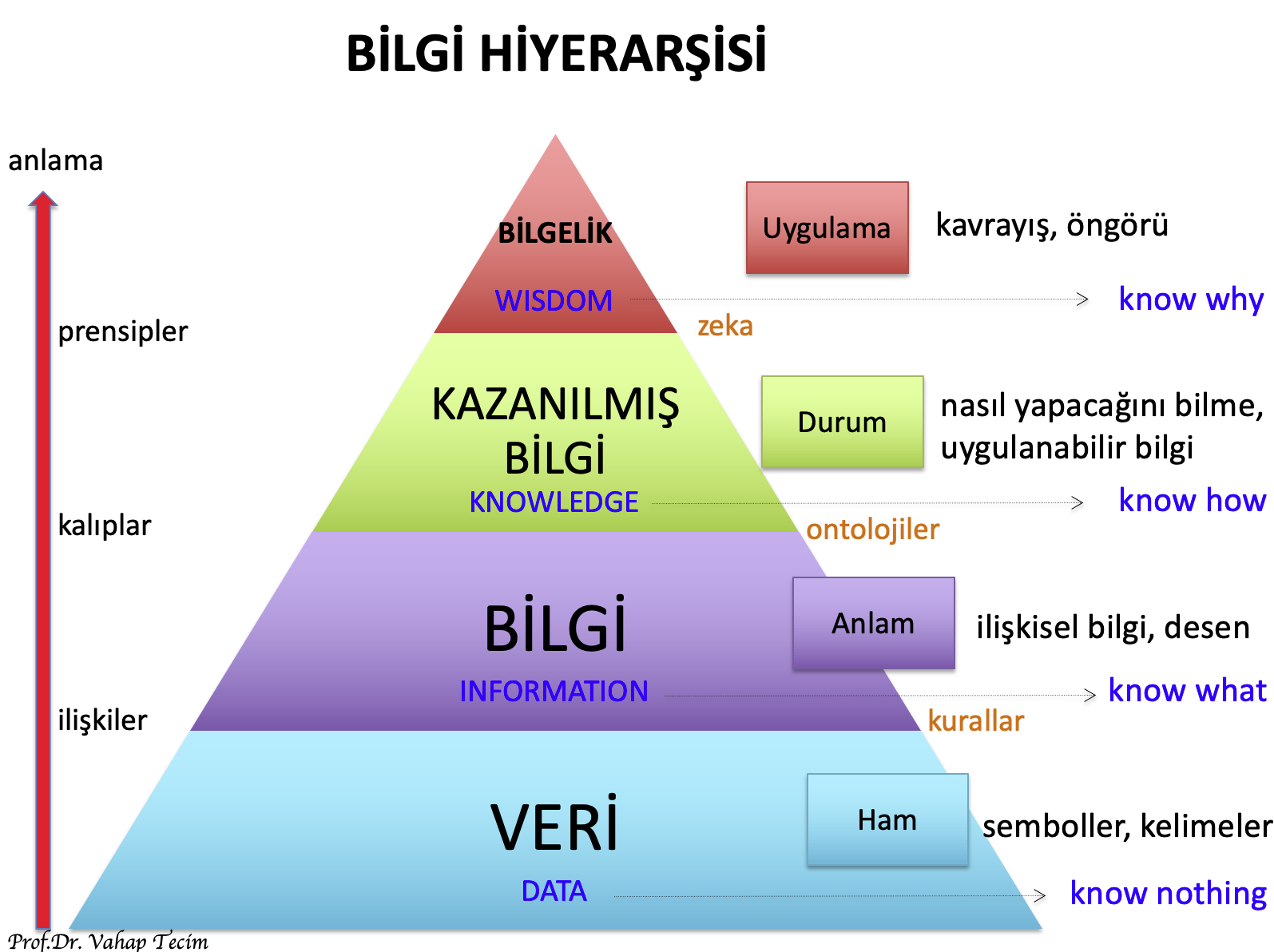 BilgiHiyerarşisi-1