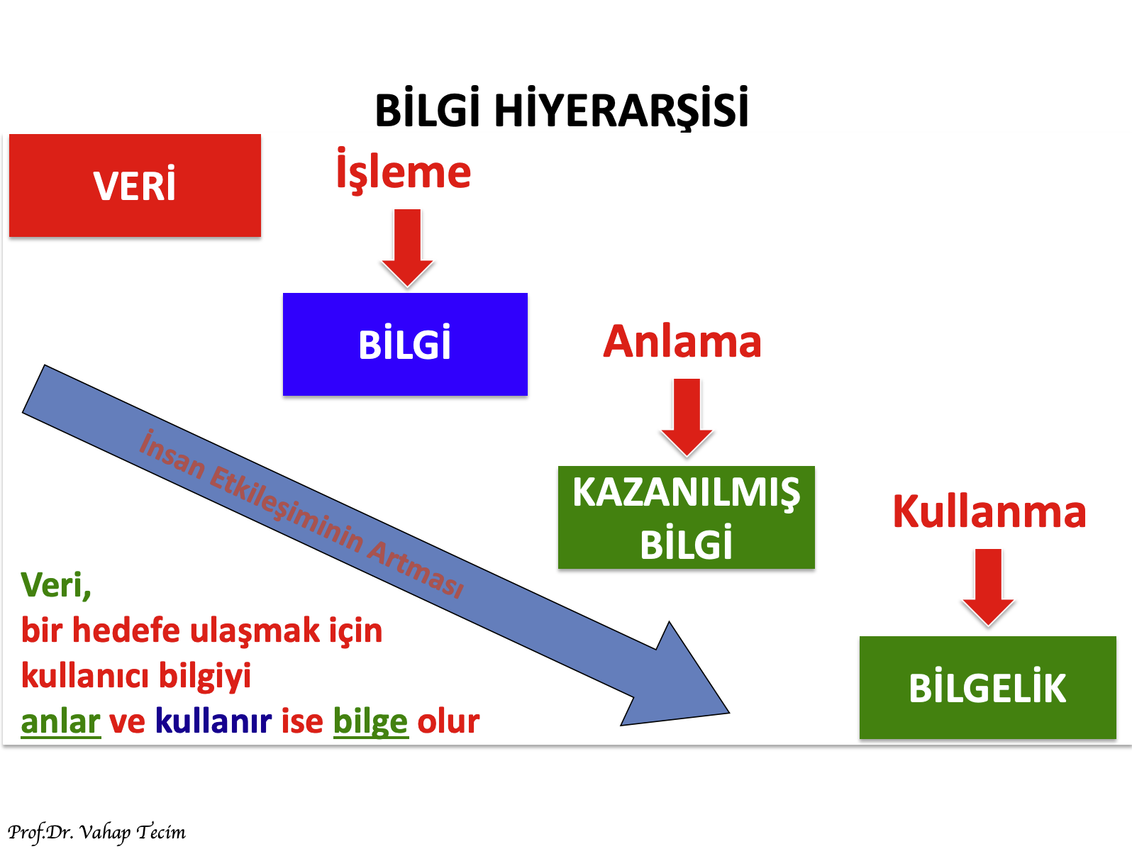 BilgiHiyerarşisi-3