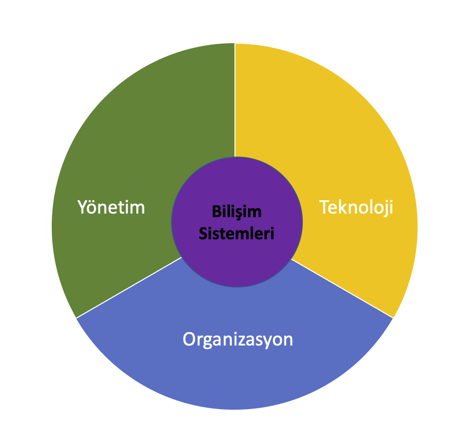 BilişimSistemleri