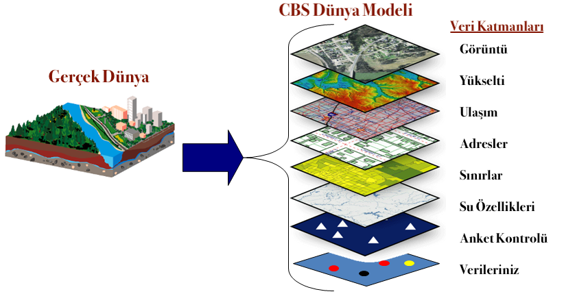 CBS katmanları